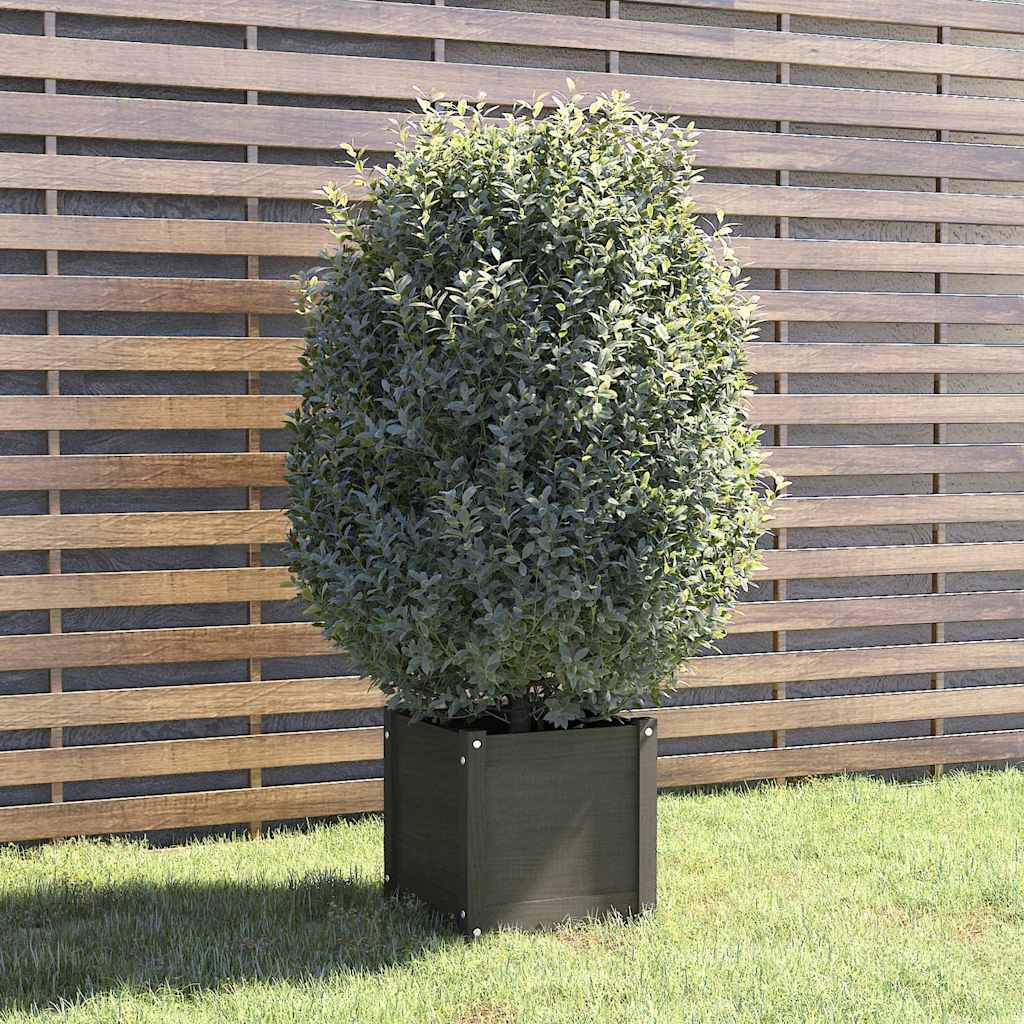 vidaXL Plantenbakken 2 st 40x40x40 cm massief grenenhout