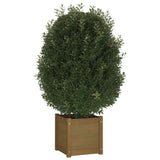 vidaXL Plantenbakken 2 st 40x40x40 cm massief grenenhout