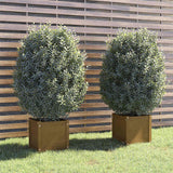 vidaXL Plantenbakken 2 st 40x40x40 cm massief grenenhout