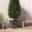 vidaXL Planters 2 pcs 50x50x50 cm solid pine wood