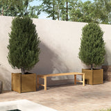 vidaXL Planters 2 pcs 50x50x50 cm solid pine wood