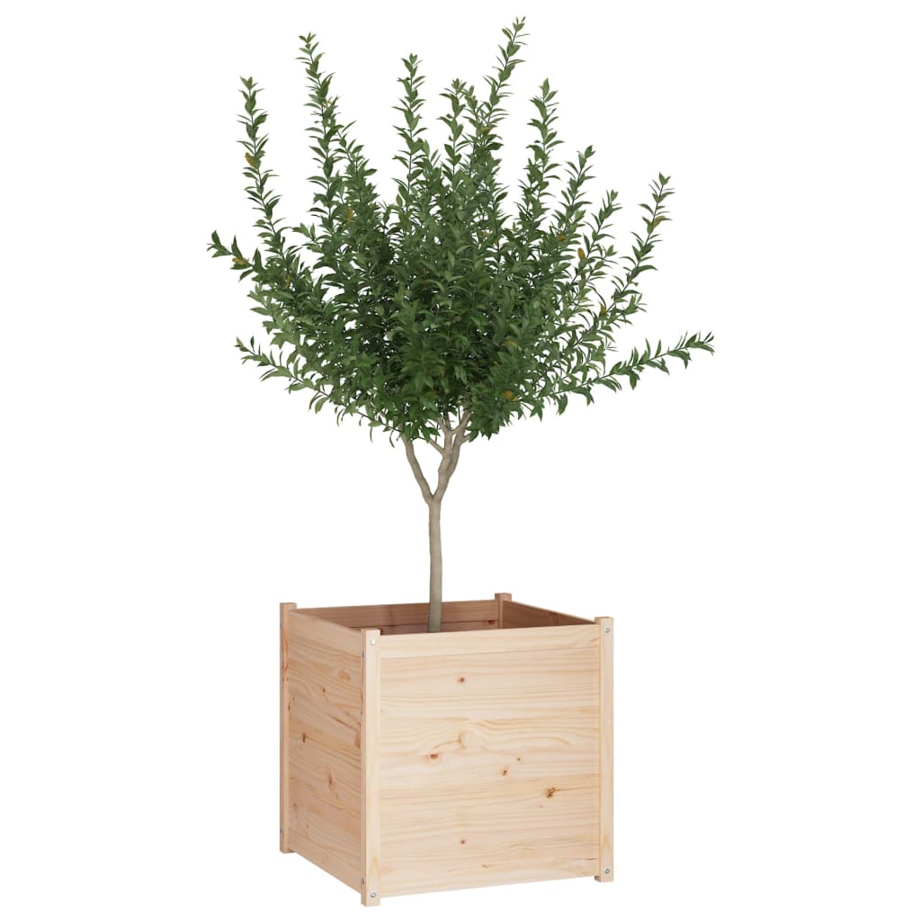 vidaXL Planter 70x70x70 cm solid pine wood