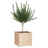 vidaXL Planter 70x70x70 cm solid pine wood