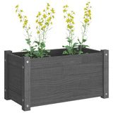 vidaXL Plantenbak 60x31x31 cm massief grenenhout