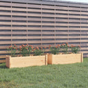 vidaXL Plantenbak 100x31x31 cm massief grenenhout