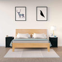 vidaXL Nachtkastje 50x35x61,5 cm massief grenenhout