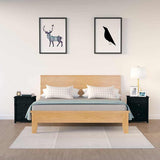 vidaXL Nachtkastje 50x35x61,5 cm massief grenenhout