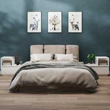 vidaXL Nachtkastje 60x34x51 cm massief grenenhout