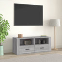 vidaXL Tv-meubel 100x35x40 cm bewerkt hout wit