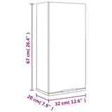 vidaXL Badkamerkast wandgemonteerd 32x20x67 cm wit