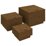 vidaXL Opbergboxen met deksels 3 st massief grenenhout wit