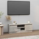 vidaXL TV Cabinet with Door 102x30x36 cm White
