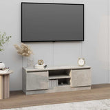 vidaXL TV Cabinet with Door 102x30x36 cm White