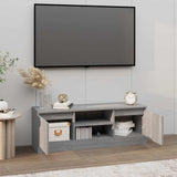 vidaXL TV Cabinet with Door 102x30x36 cm White