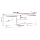 vidaXL TV Cabinet with Door 102x30x36 cm White