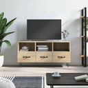 vidaXL Tv-meubel 102x36x50 cm bewerkt hout zwart