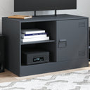 vidaXL Tv-meubel 67x39x44 cm staal zwart