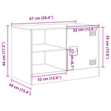 vidaXL Tv-meubel 67x39x44 cm staal zwart