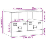 vidaXL Tv-meubel 67x39x44 cm staal zwart