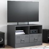 vidaXL Tv-meubel 67x39x44 cm staal zwart