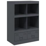 vidaXL Hoge kast 67x39x95 cm staal zwart