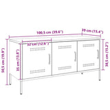 vidaXL Tv-meubel 100,5x39x50,5 cm staal zwart