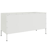 vidaXL Tv-meubel 100,5x39x50,5 cm staal zwart