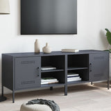 vidaXL Tv-meubel 68x39x50,5 cm staal zwart