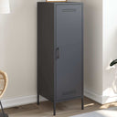 vidaXL Hoge kast 36x39x113 cm staal zwart