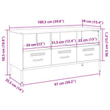 vidaXL Tv-meubel 100,5x39x50,5 cm staal zwart