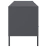 vidaXL Tv-meubel 100,5x39x50,5 cm staal zwart