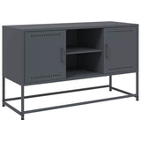 vidaXL Tv-meubel 100,5x39x60,5 cm staal zwart