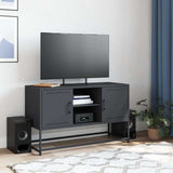 vidaXL Tv-meubel 100,5x39x60,5 cm staal zwart