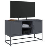 vidaXL Tv-meubel 100,5x39x60,5 cm staal zwart