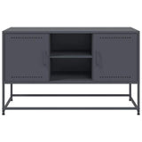vidaXL Tv-meubel 100,5x39x60,5 cm staal zwart