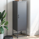 vidaXL Hoge kast 36x39x123 cm staal zwart