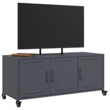 vidaXL Tv-meubel 100,5x39x43,5 cm staal zwart