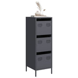 vidaXL Hoge kast 39x35x103,5 cm staal zwart