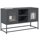 vidaXL TV cabinet 100.5x39x60.5 cm steel black