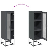 vidaXL Hoge kast 36x39x123 cm koudgewalst staal antracietkleurig