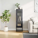vidaXL Hoge kast 36x39x123 cm koudgewalst staal antracietkleurig