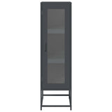vidaXL Hoge kast 36x39x123 cm koudgewalst staal antracietkleurig