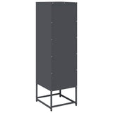 vidaXL Hoge kast 36x39x123 cm koudgewalst staal antracietkleurig