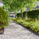 vidaXL Gazonranden 10 stuks 10x103 cm flexibel cortenstaal
