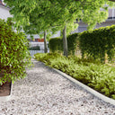 vidaXL Gazonranden 10 stuks 10x103 cm flexibel cortenstaal