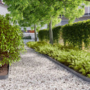 vidaXL Gazonranden 10 stuks 10x103 cm flexibel cortenstaal