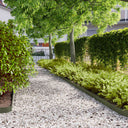 vidaXL Gazonranden 10 stuks 10x103 cm flexibel cortenstaal