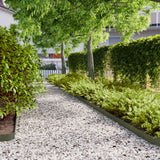 vidaXL Gazonranden 10 stuks 10x103 cm flexibel cortenstaal