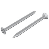 vidaXL Spijkers voor Hout 2 pcs Zilver Ø 3 x 15 mm Metaal