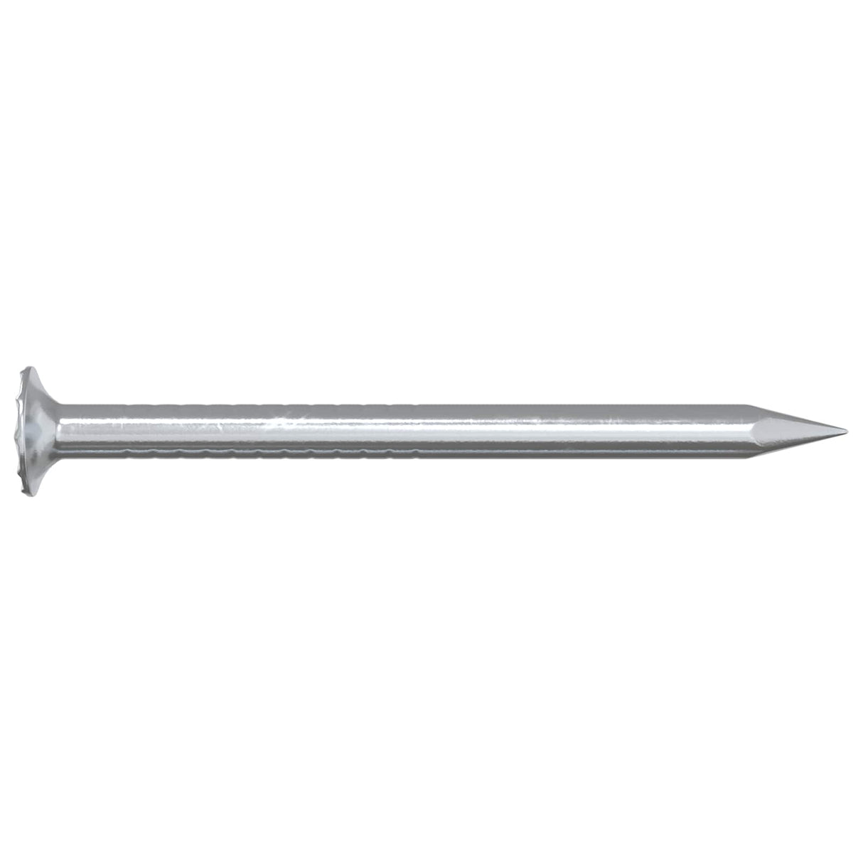 vidaXL Spijkers voor Hout 2 pcs Zilver Ø 3 x 15 mm Metaal